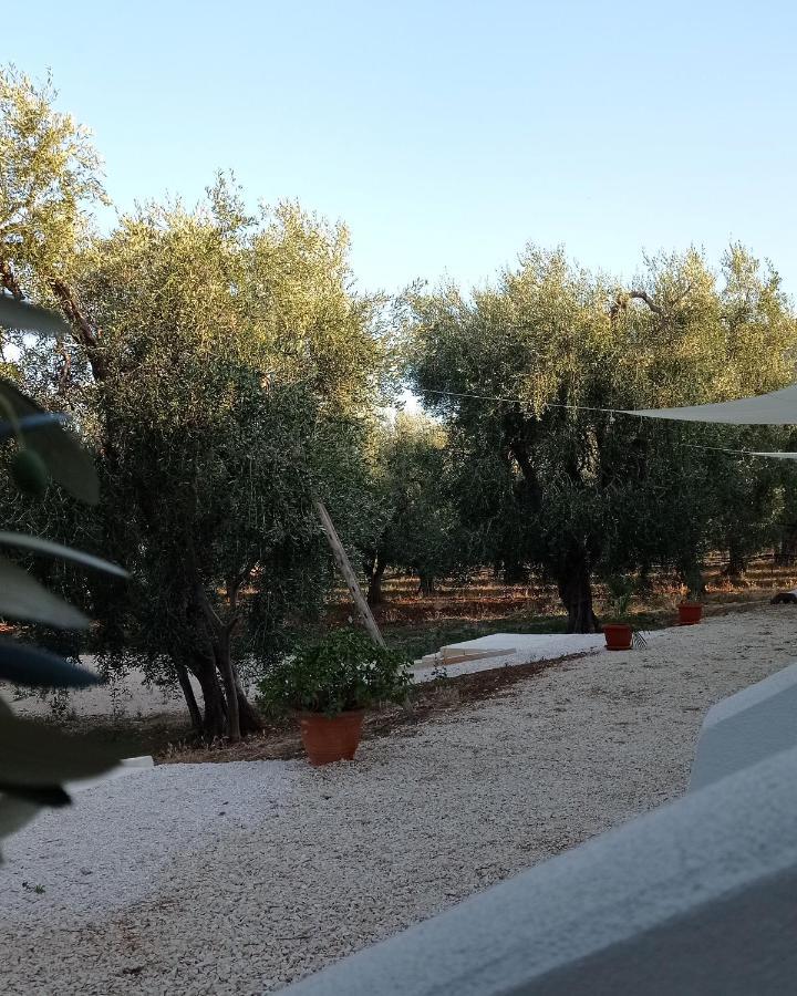 Dimora Basso Mattinata Esterno foto