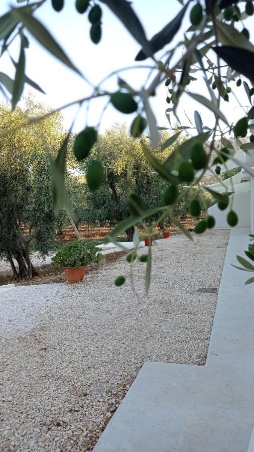 Dimora Basso Mattinata Esterno foto